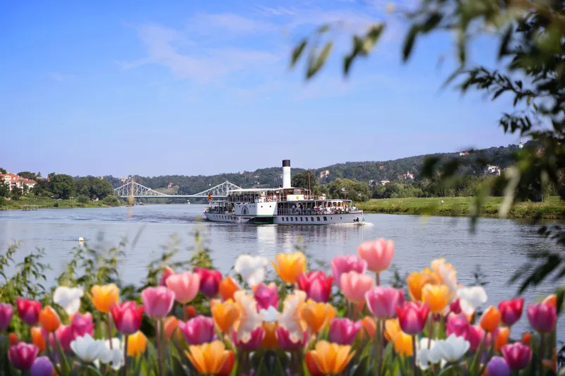 Weiße Flotte Sachsen
